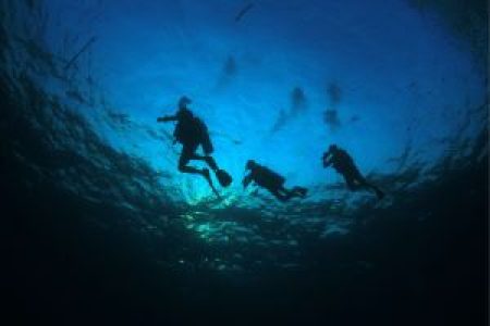 Night Diver