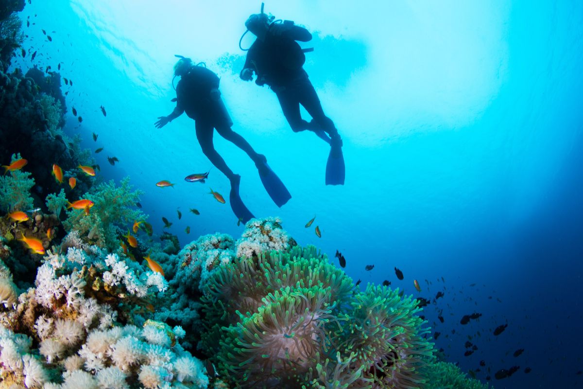 Discover Scuba Diving