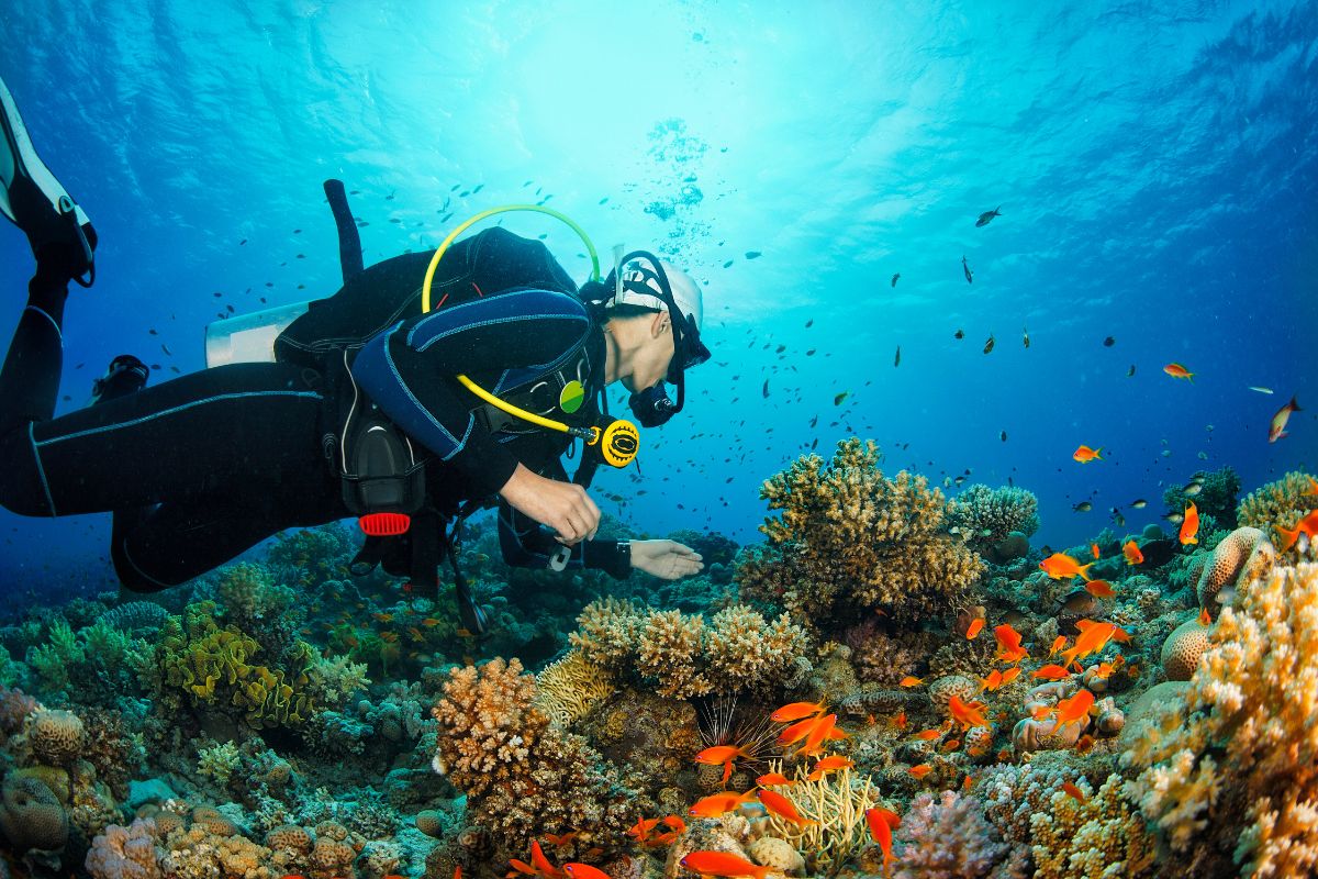 Discover Scuba Diving