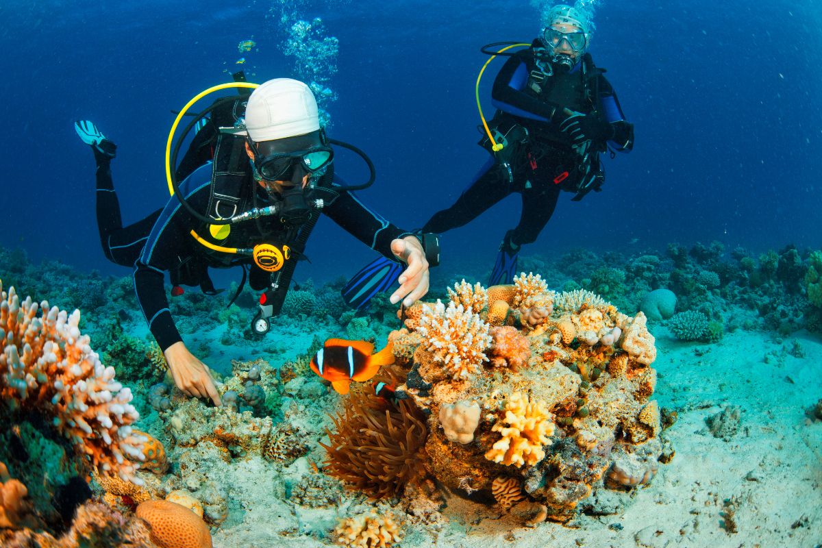 Discover Scuba Diving